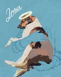 Dona - Gaženje i ubijanje psa kolima hitne pomoći 24.1.2025